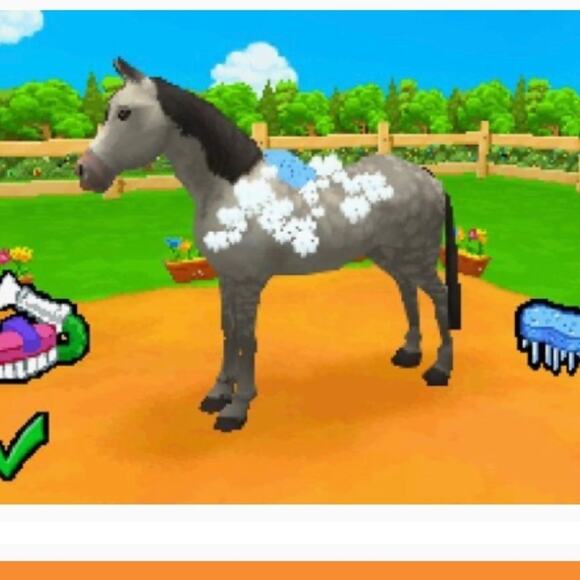 NINTENDO DS Petz Horsez - Picture 7 of 7